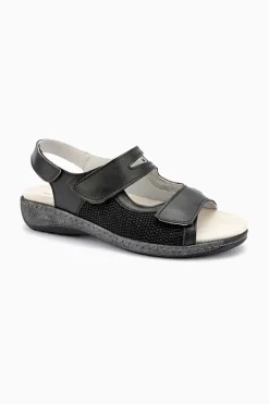 Klouds Arta 37901 Best