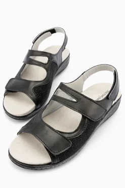 Klouds Arta 37901 Best