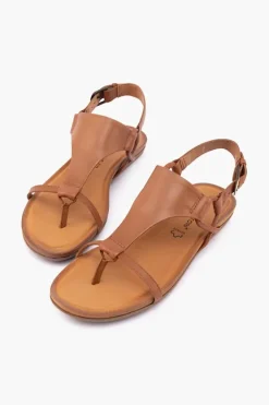 Gino Ventori Classic New