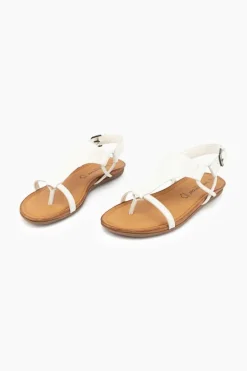 Gino Ventori Classic New