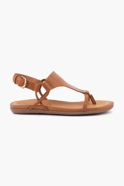 Gino Ventori Classic New