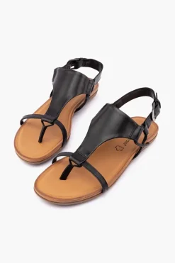 Gino Ventori Classic New