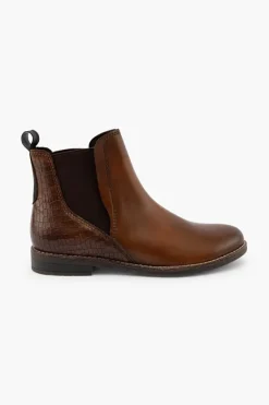 Gino Ventori Earth Cognac New