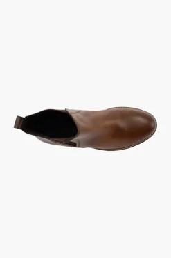 Gino Ventori Earth Cognac New