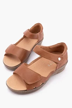 Klouds Eden Sale