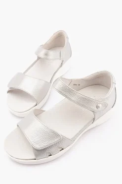 Klouds Eden Sale