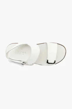 Klouds Elegance Luxe Hot