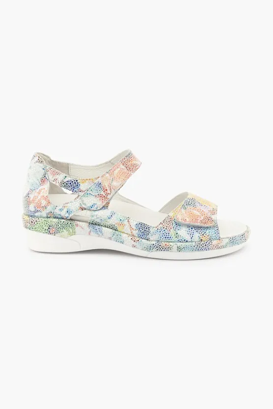 Klouds Elodie Multi Online