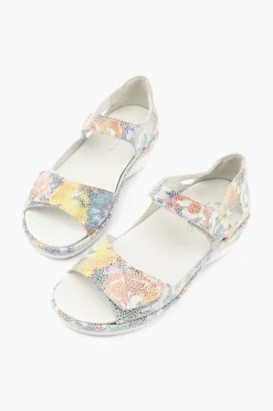 Klouds Elodie Multi Online
