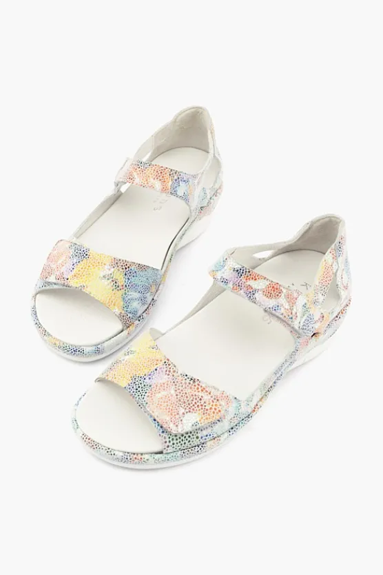 Klouds Elodie Multi Online
