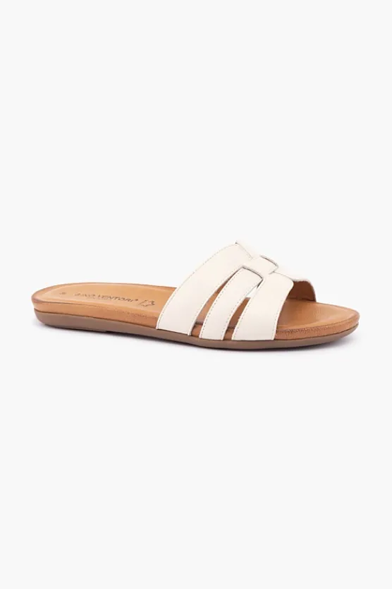 Gino Ventori Fidget Discount