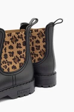 Verbenas Gaudi Animal Clearance