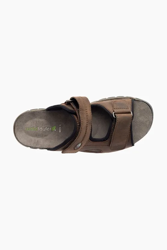 Waldlaufer Harald 372501 Brown Clearance
