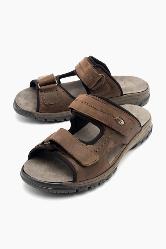 Waldlaufer Harald 372501 Brown Clearance