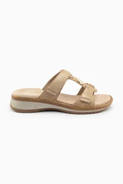 Ara Hawaii 29003 Best