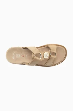 Ara Hawaii 29003 Best