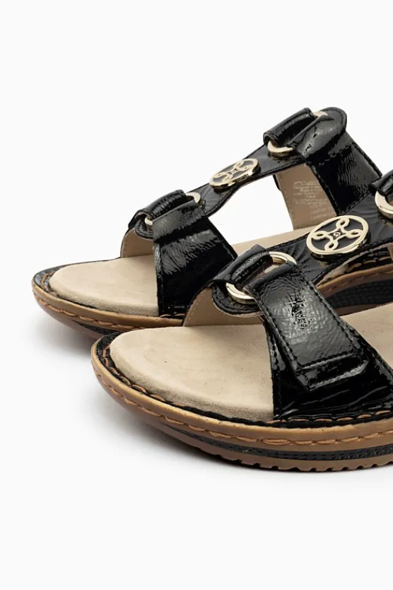Ara Hawaii 29003 Best