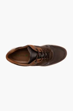 Waldlaufer Heiko 984008 Brown New