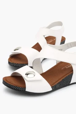 Silver Lining Kylie Polka New