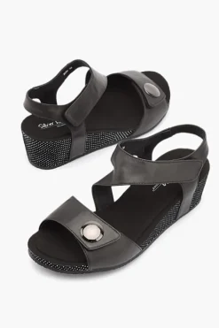 Silver Lining Kylie Polka New