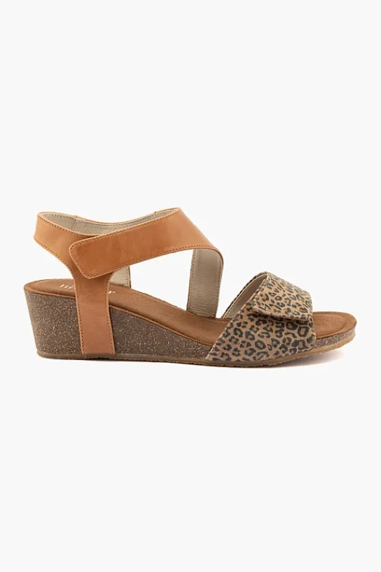 Silver Lining Kyra Combo Outlet