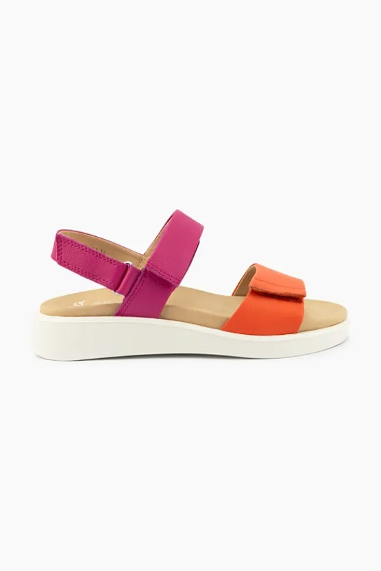 Ara Madeira 21401 Discount