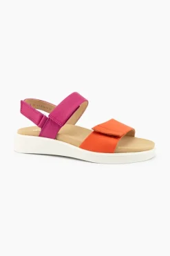 Ara Madeira 21401 Discount