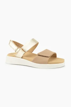Ara Madeira 21401 Discount