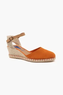 Verbenas Malena Sale