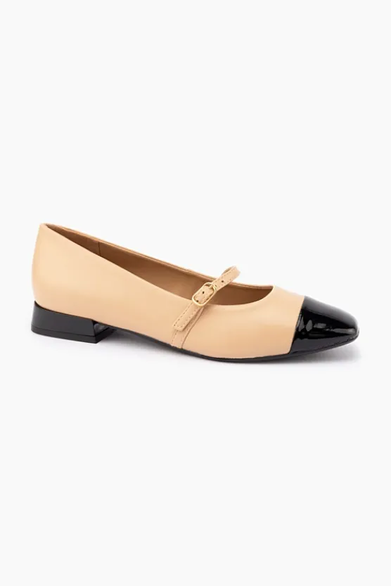 Gino Ventori Maree Discount