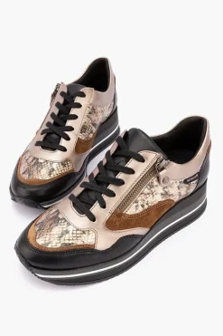 Mephisto Olimpia Clearance