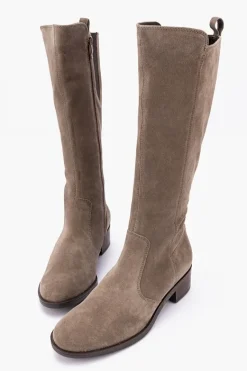 Ara Parker 22215 Discount