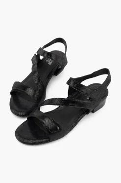 Silver Lining Quill BlackSparkle Fashion