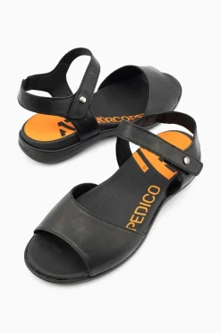 Arcopedico Rapa Nui Online