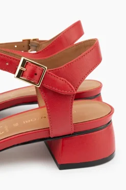Gino Ventori Rosy Online