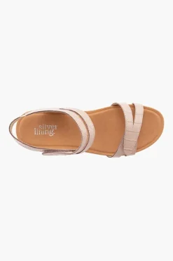 Silver Lining Utah Sale