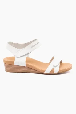 Silver Lining Utah Plain Discount