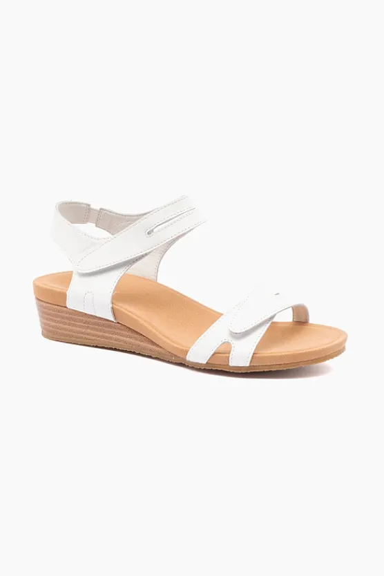 Silver Lining Utah Plain Discount