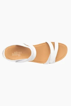 Silver Lining Utah Plain Discount