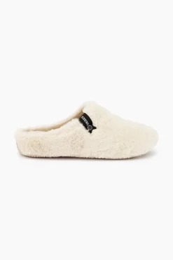 Verbenas York New