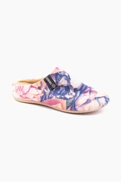 Verbenas York New