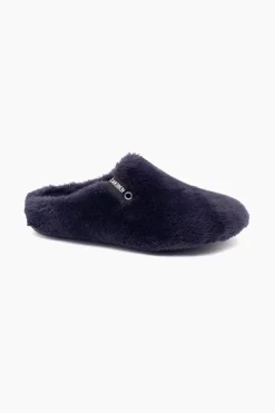 Verbenas York New