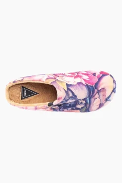 Verbenas York New
