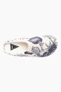 Verbenas York New