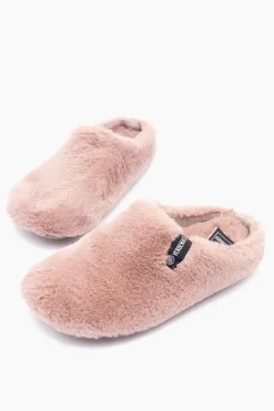 Verbenas York New