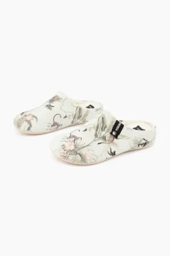 Verbenas York New
