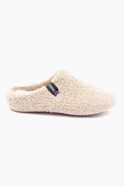 Verbenas York New