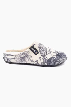 Verbenas York New